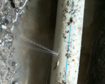 矿区卫生间测漏水多少钱