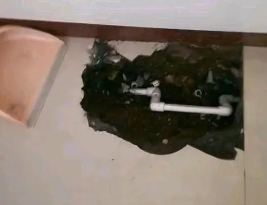 矿区卫生间测漏水多少钱